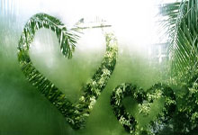 乐鱼app-雄鹿核心球员伤退，球队未来走势成疑，不会都是公司看到留言工作.的简单介绍